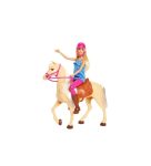 BARBIE VE GÜZEL ATI OYUN SETİ FXH13
