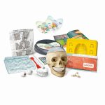 CLEMENTONI BİLİM VE OYUN - ÇILGIN ANATOMİ