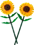 LEGO 40524 ICONS AYÇİÇEĞİ
