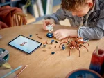 LEGO 76434 HARRY POTTER ARAGOG YASAK ORMANDA