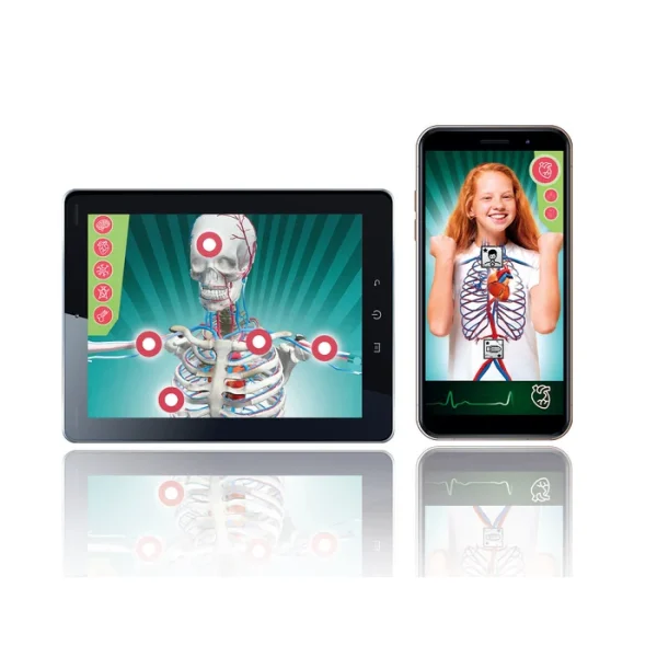 CLEMENTONI BİLİM VE OYUN - SÜPER ANATOMİ