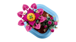 LEGO 11509 BOTANICALS ÇİÇEKLİ KAKTÜS