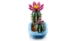 LEGO 11509 BOTANICALS ÇİÇEKLİ KAKTÜS