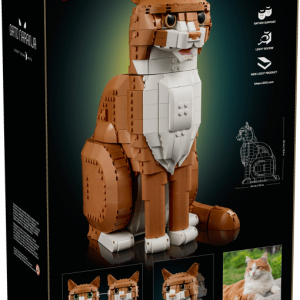 21376_Box5_v39