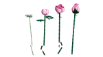 LEGO 10374 BOTANICALS PEMBE GÜL BUKETİ