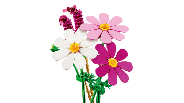 LEGO 11514 BOTANICALS KOZMOS ÇİÇEKLERİ