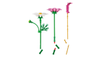 LEGO 11514 BOTANICALS KOZMOS ÇİÇEKLERİ